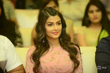 Okkadu Migiladu Movie Pre Release Function